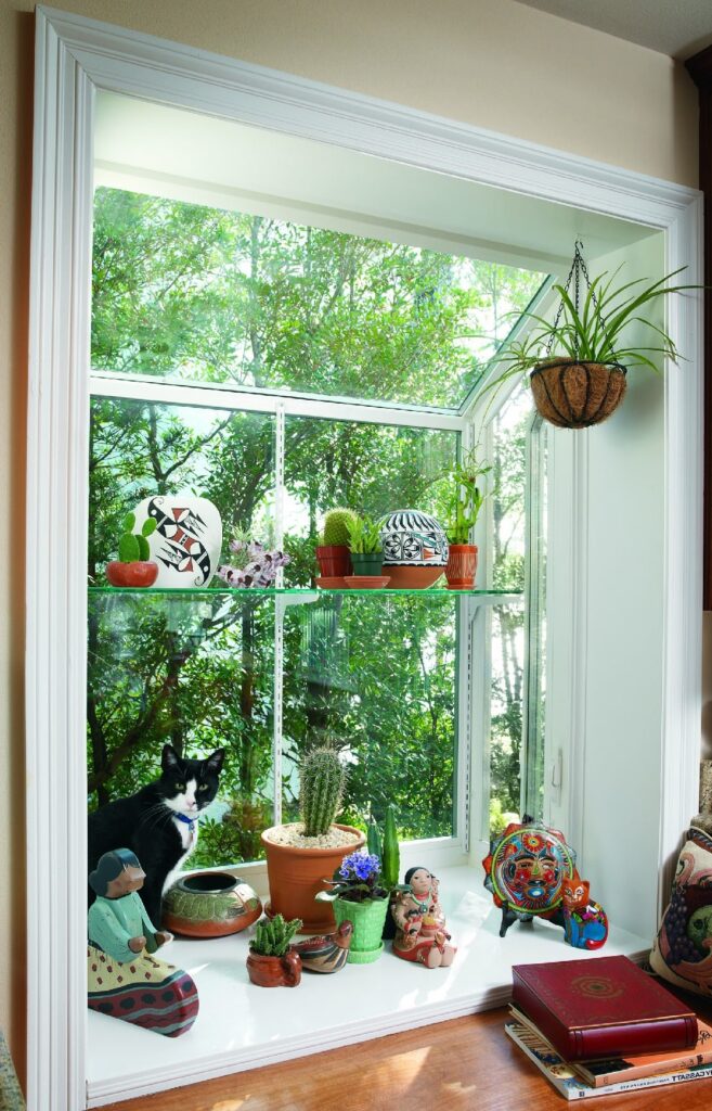 energy-efficient-window-replacement-riverview-fl
