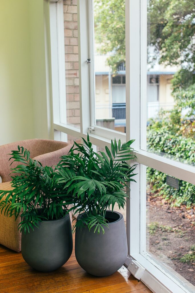 vinyl window replacement riverview fl